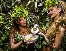 4 živly Bešeňovej