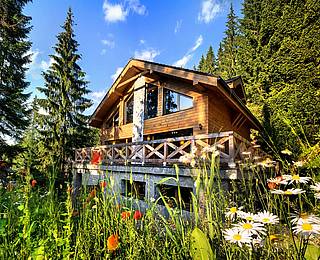 Chalet Jasná Collection****